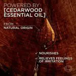 L’ORÉAL PARIS MEN EXPERT BARBER CLUB CARE PB50 ENi CARE - Image 2