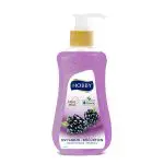 Hobby Liquid Hand Soap Blackberry