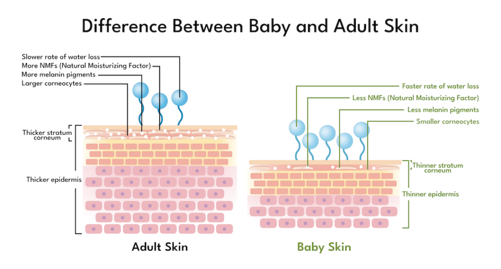 natural baby skin vs adult skin scientific image